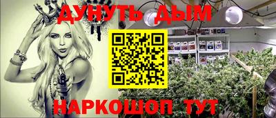 спиды Сочи