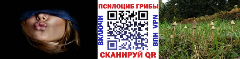 Галлюциногенные грибы Magic Shrooms Баксан