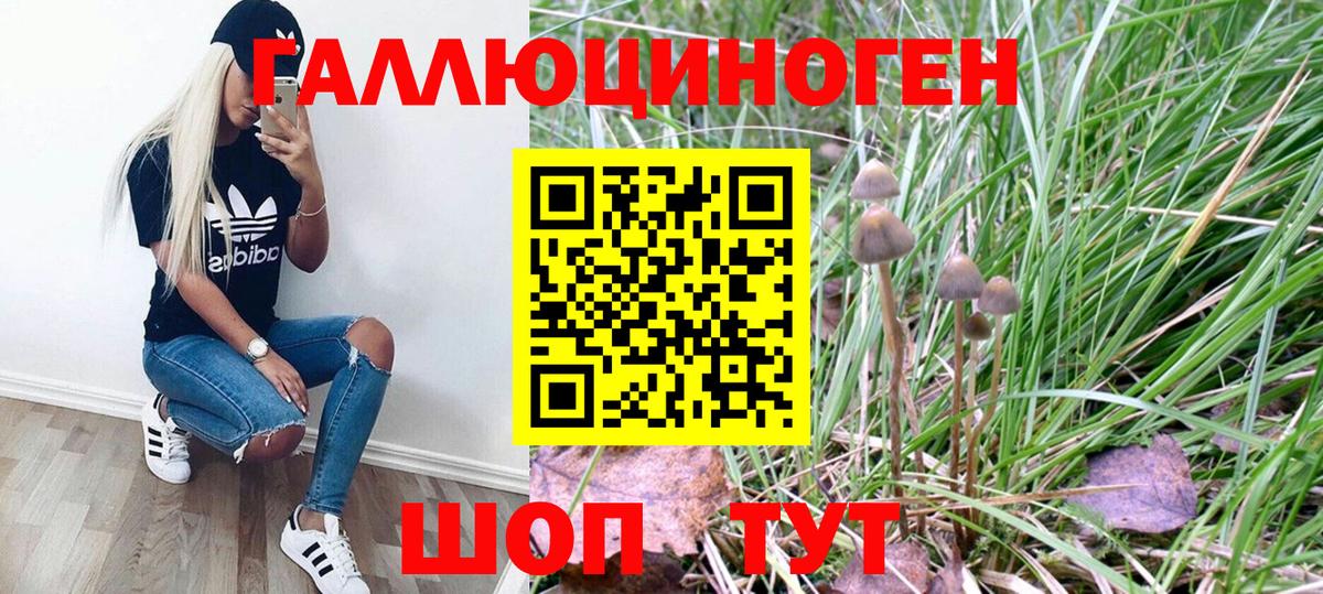Баксан  Псилоцибиновые грибы Magic Shrooms  Псилоцибиновые грибы Psilocybe  Вход с VPN 